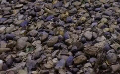 �茑�Z��ʯ������400�֣�ͨ��26ƪ��