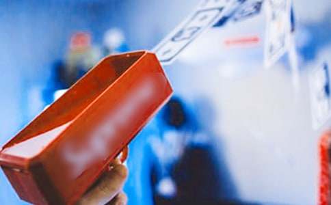 觀察發(fā)財(cái)樹優(yōu)秀作文