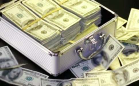 發(fā)財(cái)樹(shù)的作文