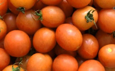 �ҵ�С��������