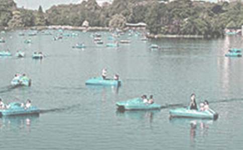 �ĺ���������