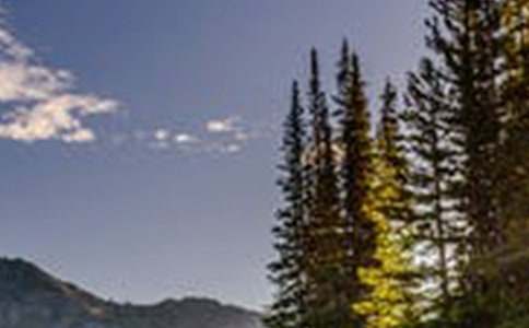 ��ԓ�e�^���L���������ģ����x51ƪ��