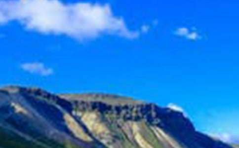 �L(f��ng)���������ģ����x53ƪ��