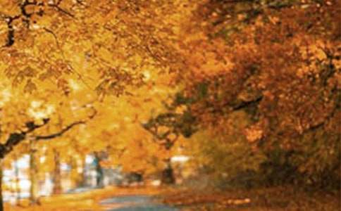 大連的風(fēng)景作文200字