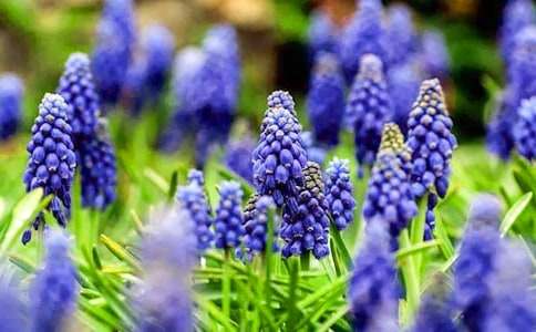 �L��������700��