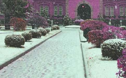 С�W��(y��u)�������Lѩ�е�����