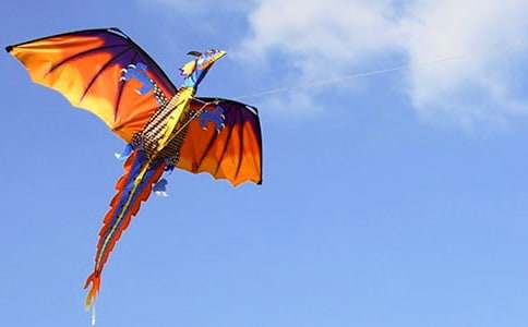 �L(f��ng)�~�c�������W(xu��)������1100��