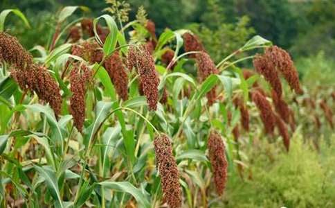 С�W(xu��)�Z�ġ������顷�̰�����