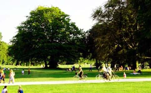 ���@һ������ͨ��15ƪ