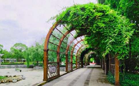 ���u���Ĺ��@����