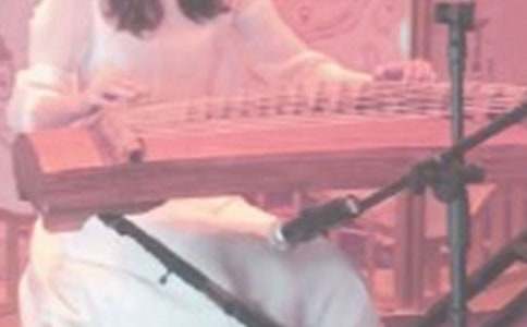 我愛彈古箏作文800字