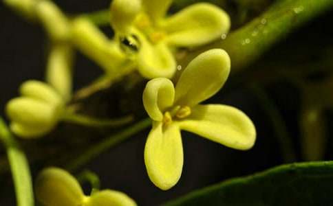 �^��𻨘������