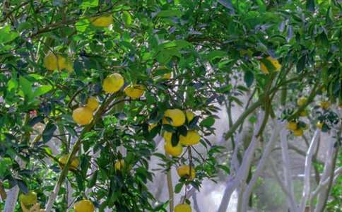 ���؂䡿���@����300����ƪ