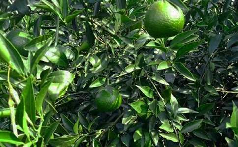 ���@��׃�w��һ����