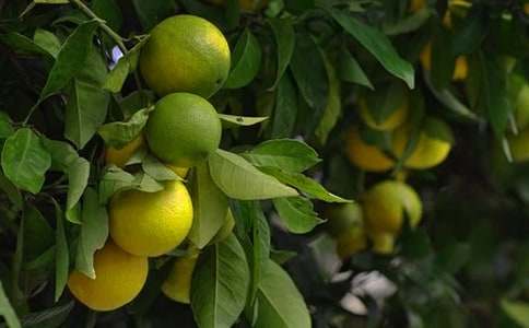 �����@�C(j��)���ˡ��̌W(xu��)��˼����