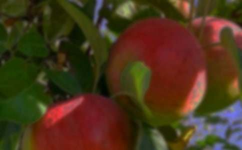 ����(sh��)�á����@����300��10ƪ