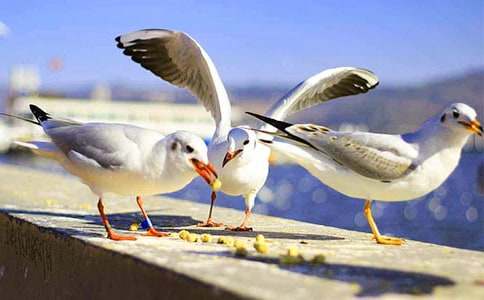 ���꼉���D�����ĺ��t�����x20ƪ��