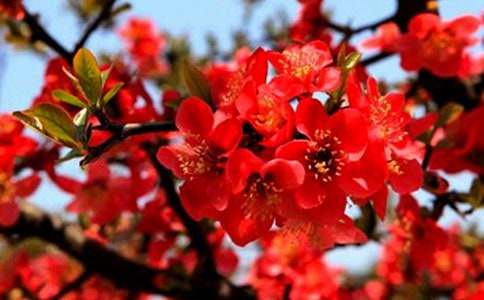 ӛ����Ժ����ĺ��Ę�����