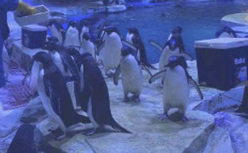 �δ��B���󹫈@��������