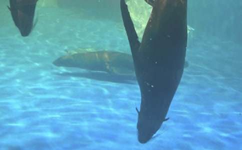 �������ں��󹫈@����2ƪ