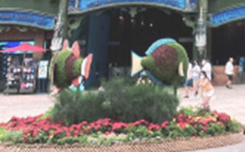 �����ں��󹫈@����2ƪ