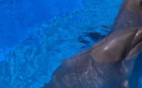 ���������600����ƪ