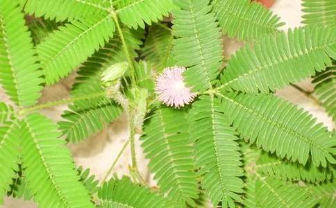 �β�ס�ĺ��߲�ͯԒ��������600�֣����x31ƪ��