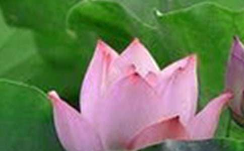 �����ĺɻ�����900��