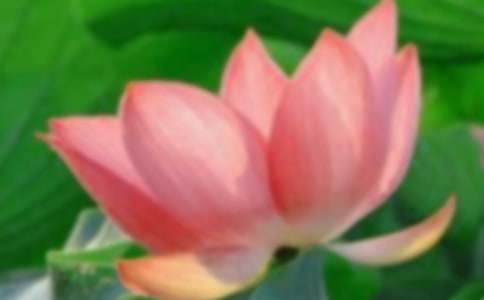 ��(d��)��(��i)�ɻ���(y��u)������500��