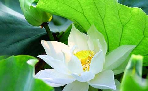 ���l(xi��ng)�ĺɻ�����ɢ��