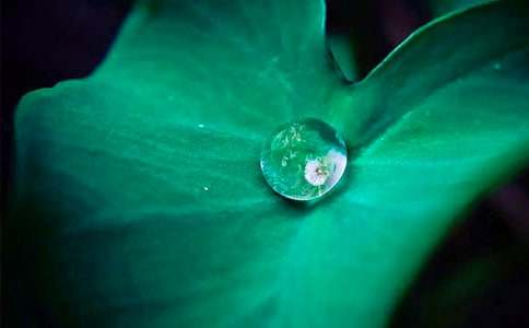 �����ҵ����еĺ��~����