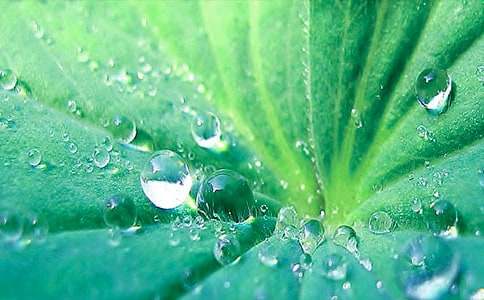 一年級《荷葉圓圓》教學(xué)設(shè)計第二課時(通用17篇)