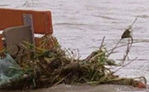 ����Ʒ����ˮ����300����ƪ