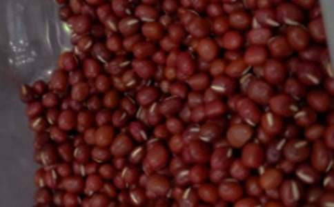 精選紅豆作文300字四篇