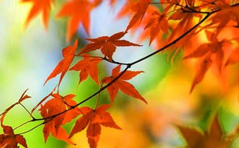 �茑��ɽ�t�~������400��