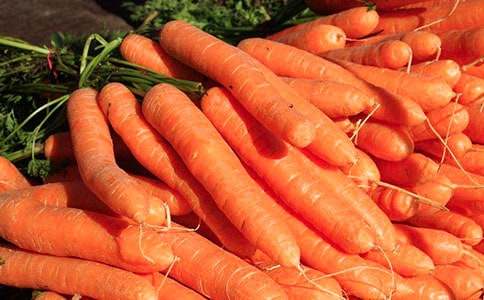 胡蘿卜先生的長(zhǎng)胡子續(xù)寫作文(通用61篇)