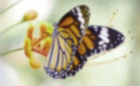 �������������ģ����x46ƪ��