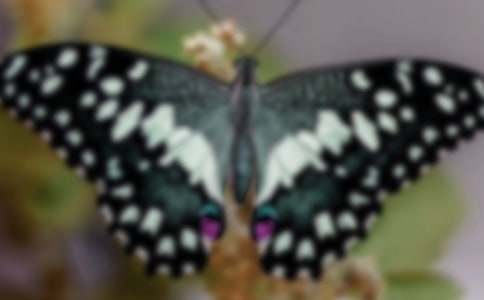 �������۷��ͯԒ���ķ���