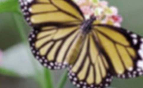 �P(gu��n)����������