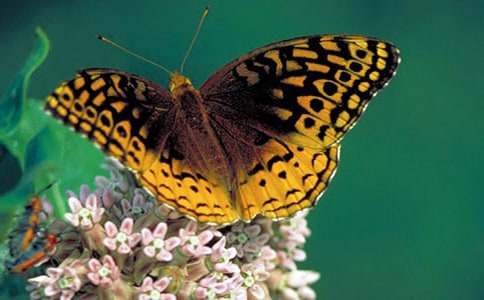 �۷�ͺ�������700��