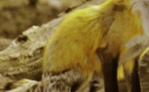 ����؂�͞��f����(j��ng)��̌W(xu��)�O(sh��)Ӌ(j��)�����x10ƪ��