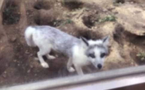 ��؂�ĳ��С�W(xu��)����