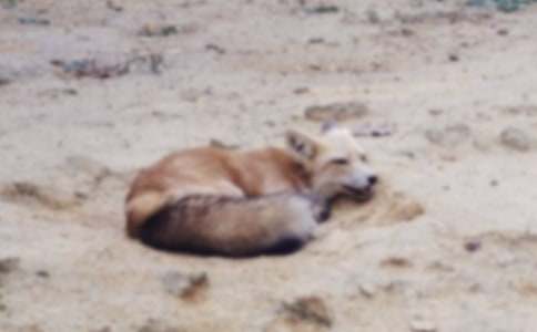 С��؂�͞��f������