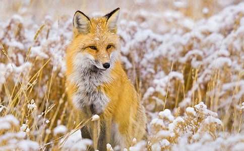 ĸ�u�ͺ�؂������