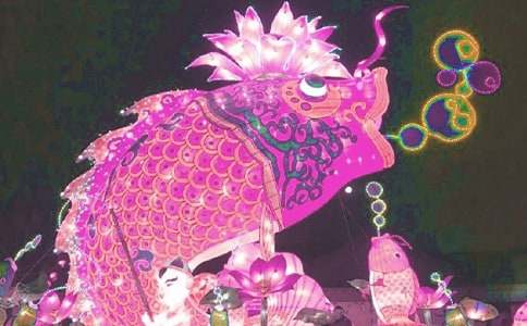  ���������������