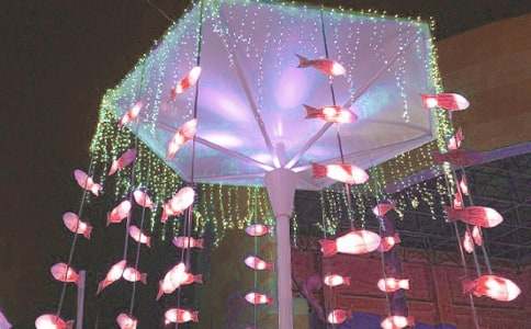 ���P��������600�֣����x49ƪ��