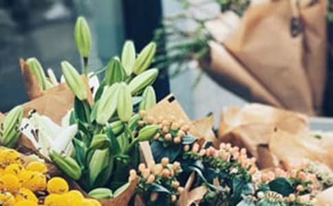 Ո�Mɽ؈���r�ջ������꼉����