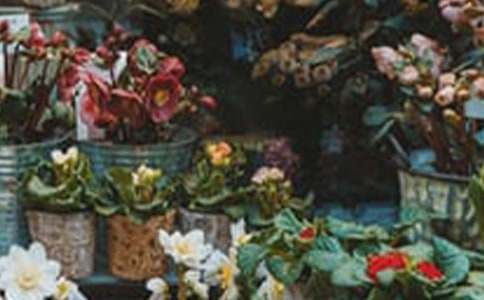 ��������400��6ƪ