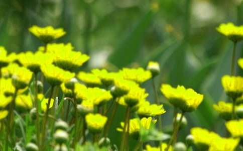 �_��ӛ����̎�Ļ�������(�R��15ƪ)