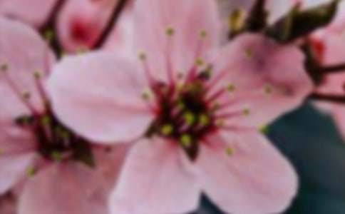 �_��ӛ���еĻ�������8ƪ